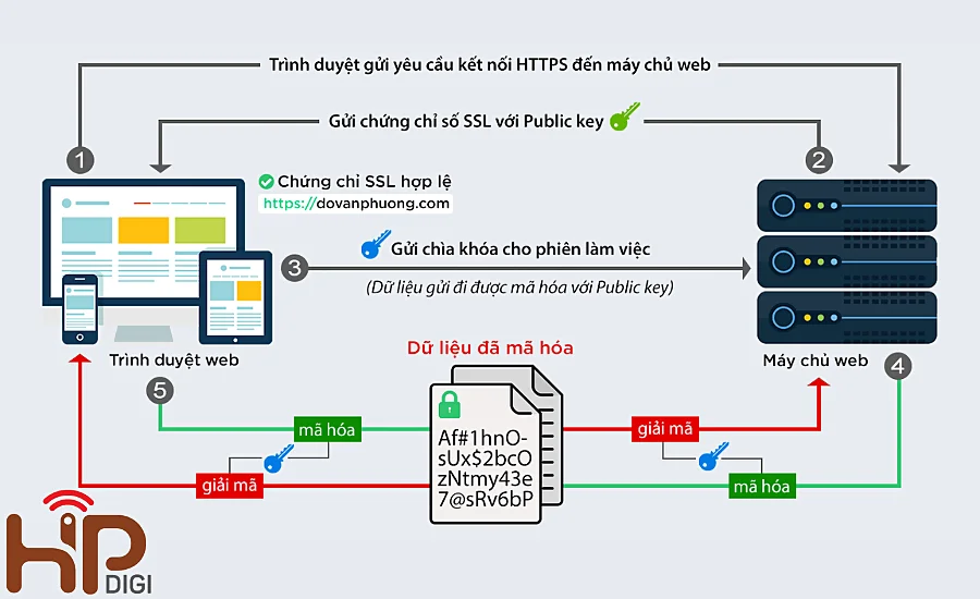 Nguyên lý vận hành của SSL