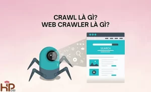 Crawl là gì?