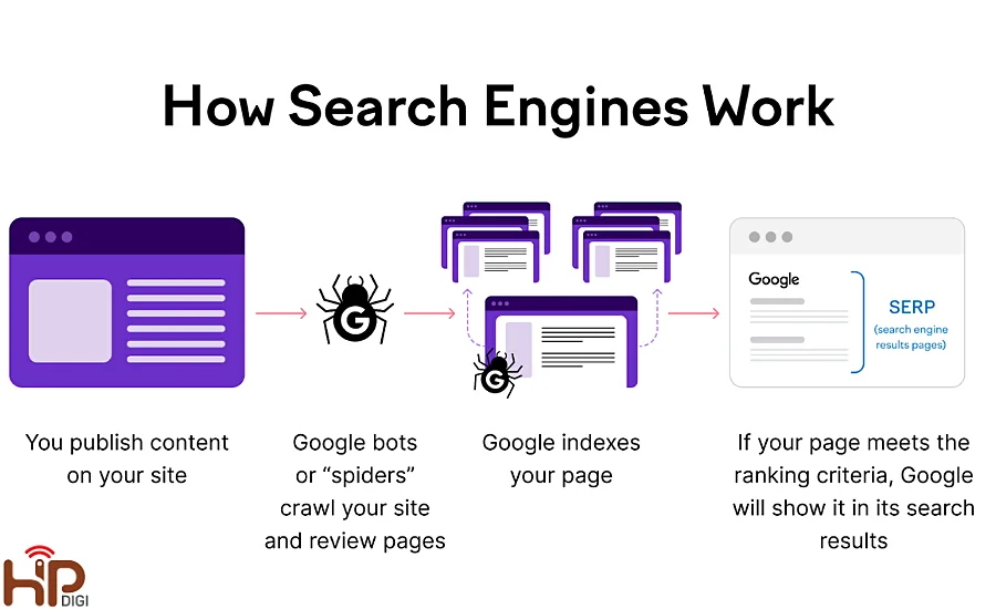 Quy trình ranking và indexing để hiển thị trong SERPs là gì